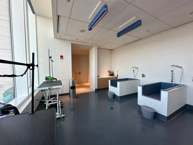 $3,128 | 313 West Wolf Point Plaza, Unit 1910, Chicago, IL 60654