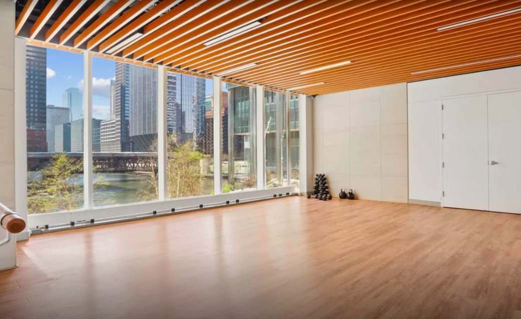 313 West Wolf Point Plaza, Unit 1910 Chicago, IL 60654 - Photo 21 of 30 a view of a room with large windows