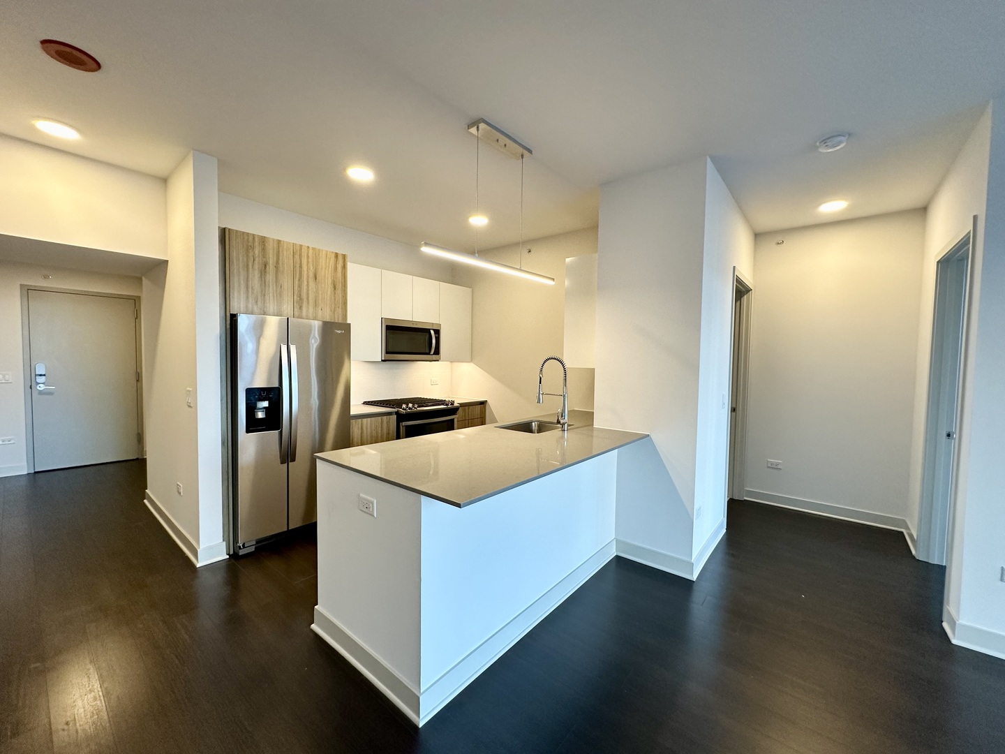 313 West Wolf Point Plaza, Unit 1910 Chicago, IL 60654 - Photo 3 of 30 a kitchen with stainless steel appliances a refrigerator and wooden floor