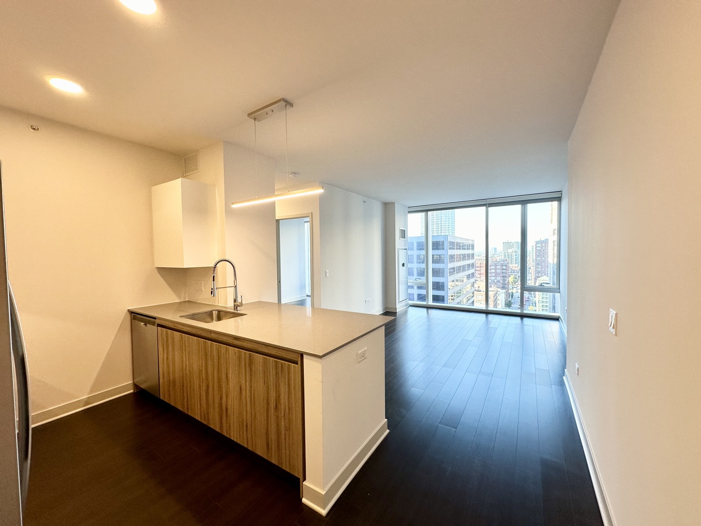 313 West Wolf Point Plaza, Unit 1910 Chicago, IL 60654 - Photo 5 of 30 a kitchen with stainless steel appliances a sink and wooden floor