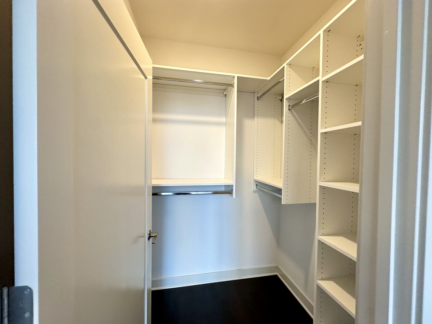 313 West Wolf Point Plaza, Unit 1910 Chicago, IL 60654 - Photo 9 of 30 a view of walk in closet with empty racks