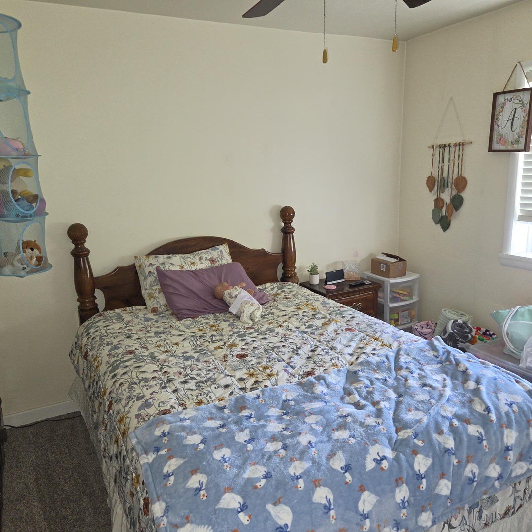 13448 Ewing Road Whittington, IL 62897 - Photo 15 of 19