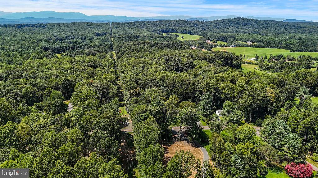13191 Scotts Mill Road Culpeper, VA 22701 - Photo 15 of 65 Gallery Image 15
