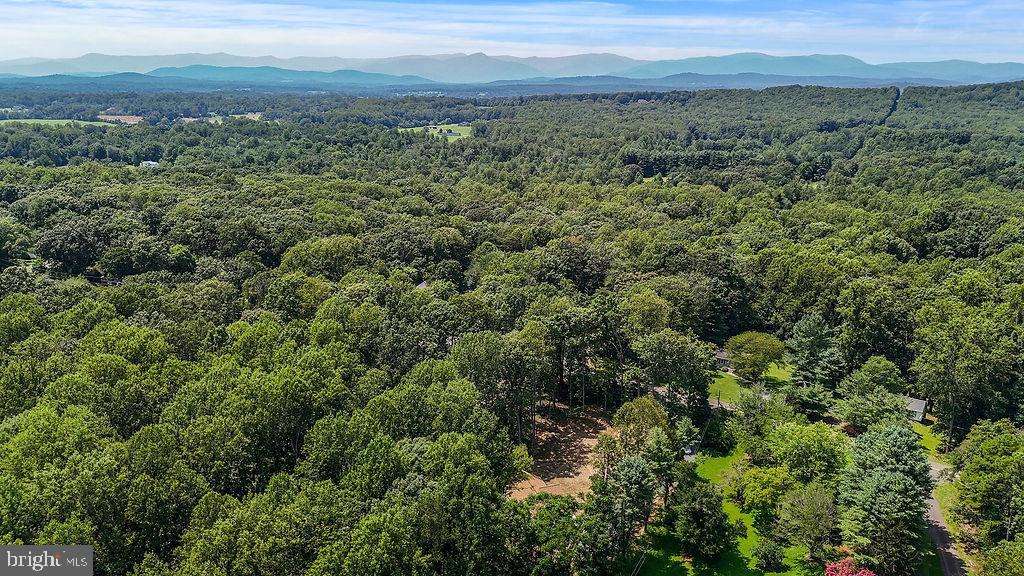 13191 Scotts Mill Road Culpeper, VA 22701 - Photo 17 of 65 Gallery Image 17