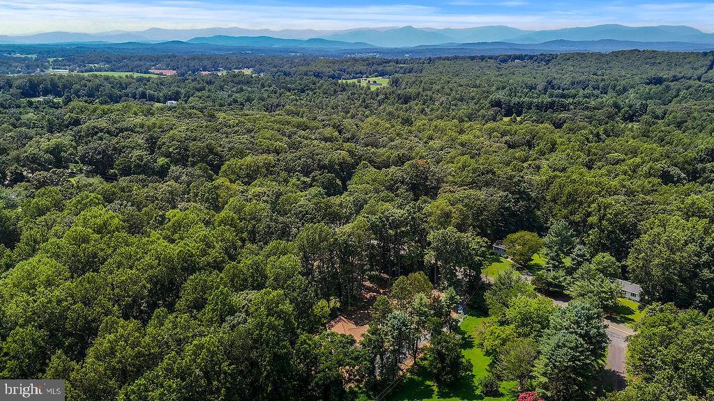 13191 Scotts Mill Road Culpeper, VA 22701 - Photo 27 of 65 Gallery Image 27