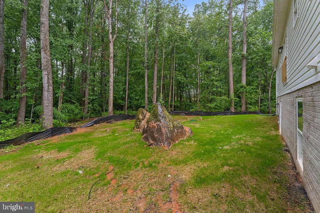 13191 Scotts Mill Road Culpeper, VA 22701 - Photo 6 of 65 Gallery Image 6
