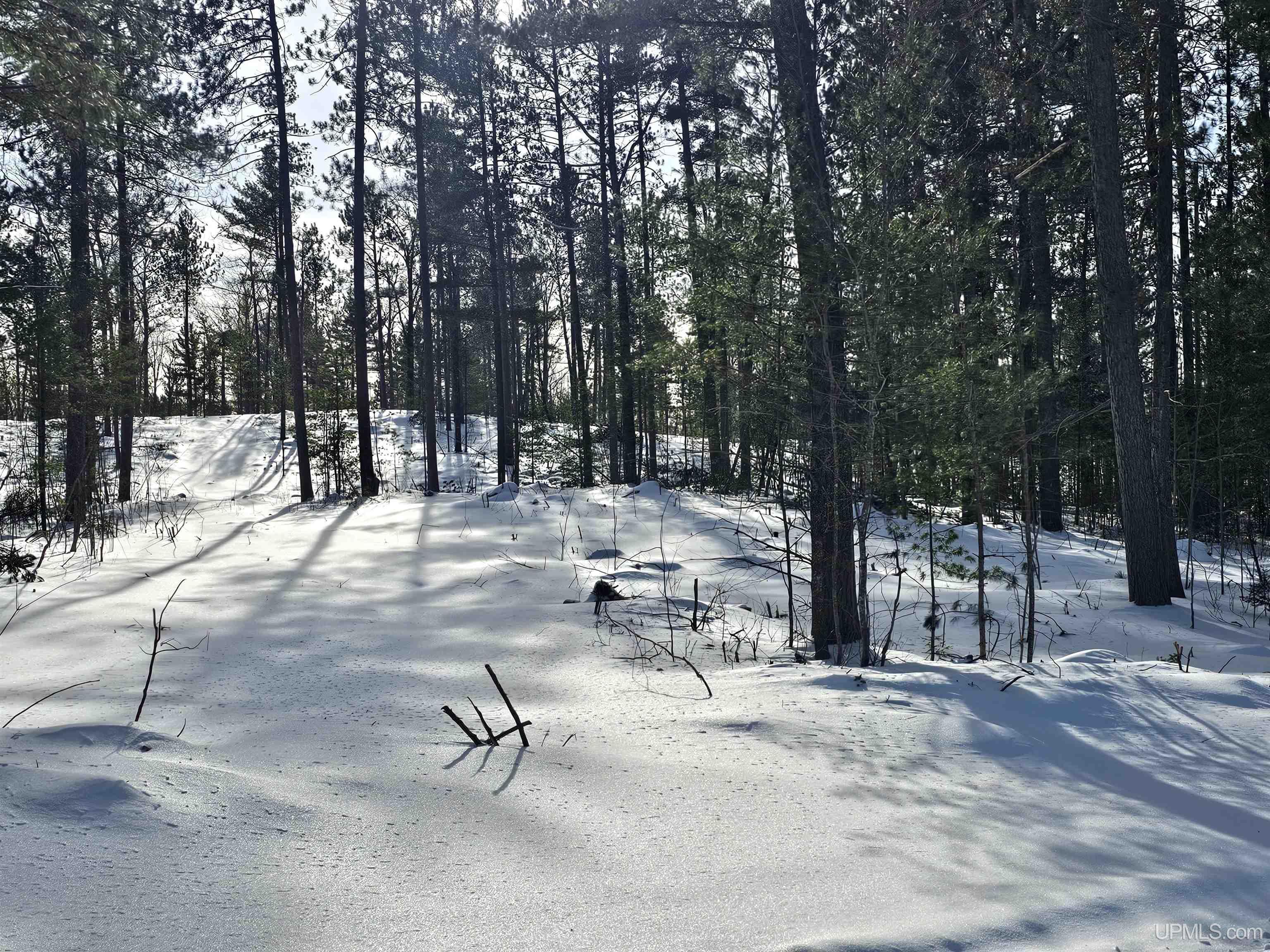 220 Acres Off Co Road Negaunee, MI 49866 - Photo 4 of 9