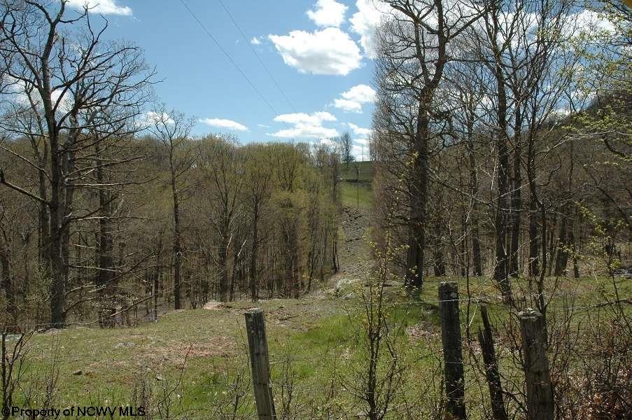 8239 Co Rte 5/2 Seneca Rocks, WV 26884 - Photo 10 of 17 Gallery Image 10