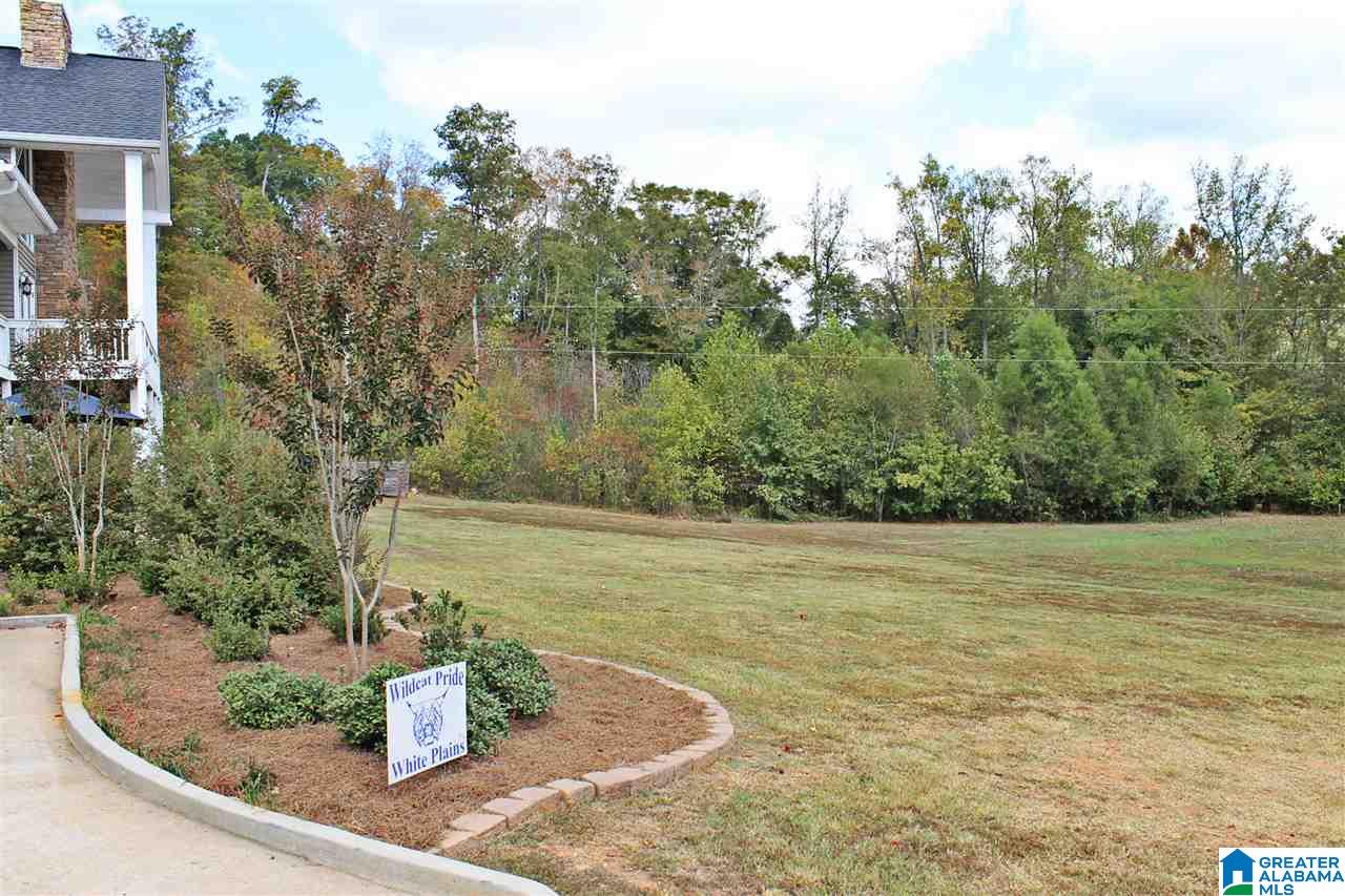 435 Earl Roberts Road Anniston, AL 36207 - Photo 37 of 38
