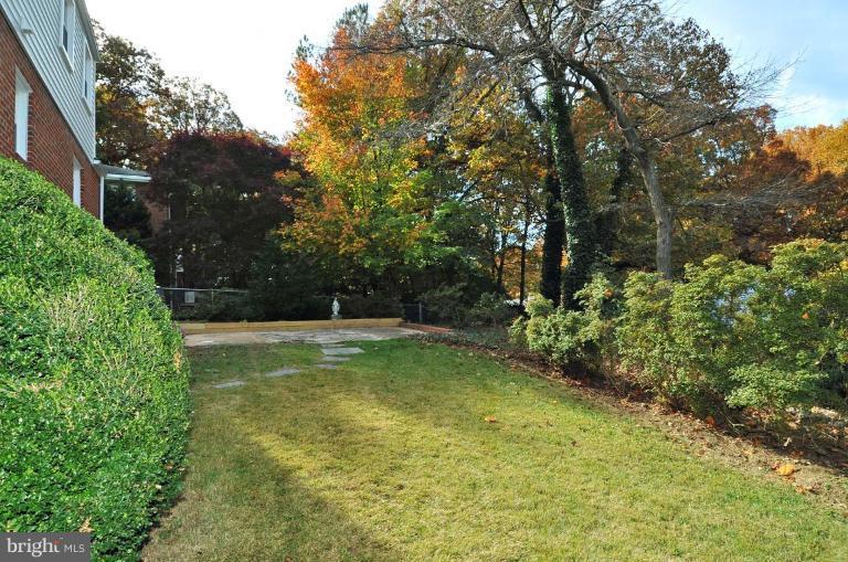 9518 St Andrews Way Silver Spring, MD 20901 - Photo 26 of 29 a view of a backyard with large trees