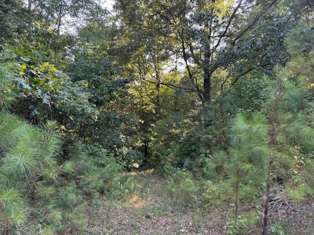 New Union Loop Toone, TN 38381 - Photo 2 of 3 View of wooded area