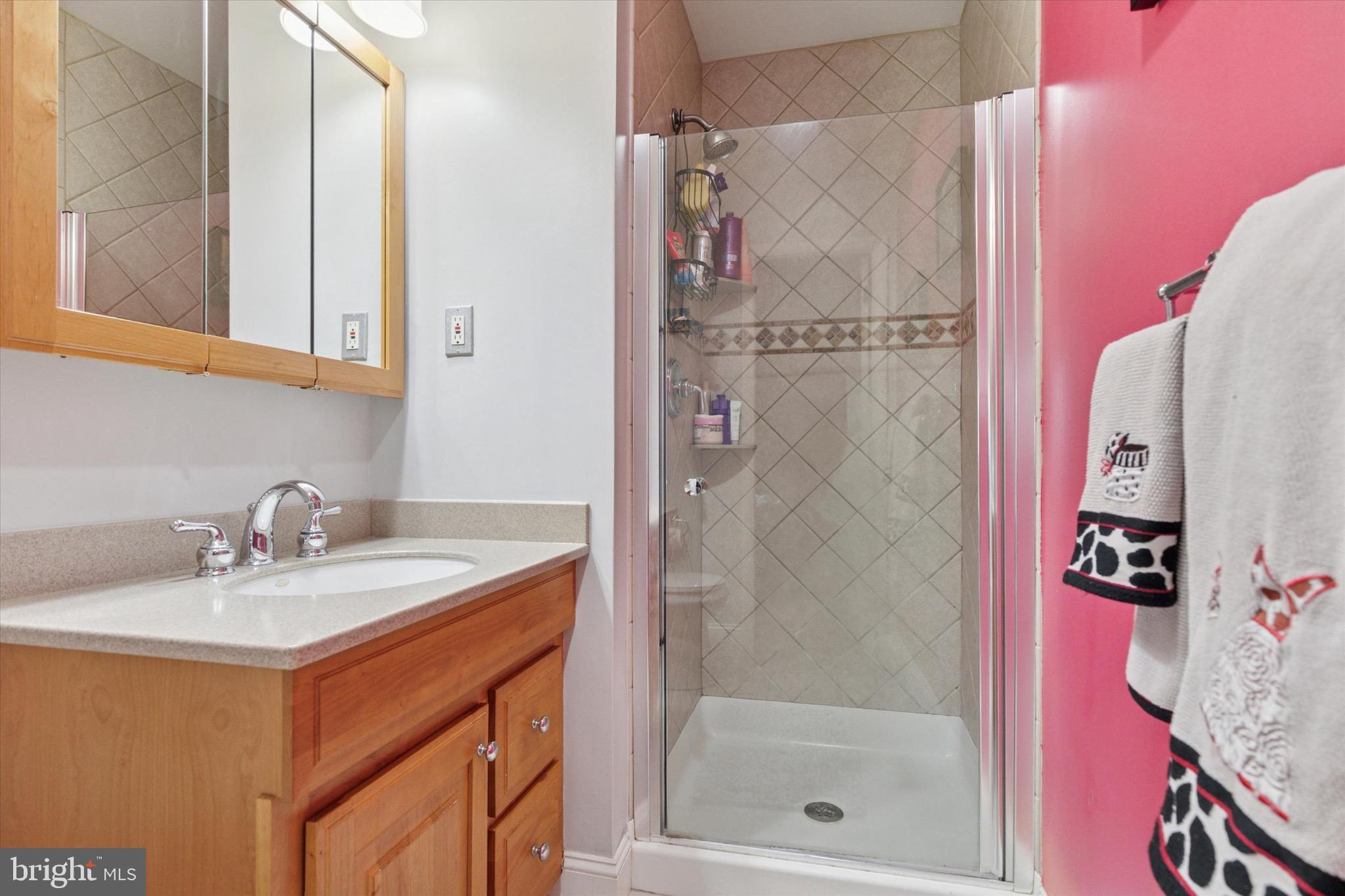 96 Providence Forge Road Royersford, PA 19468 - Photo 18 of 22 a bathroom with a shower sink and mirror