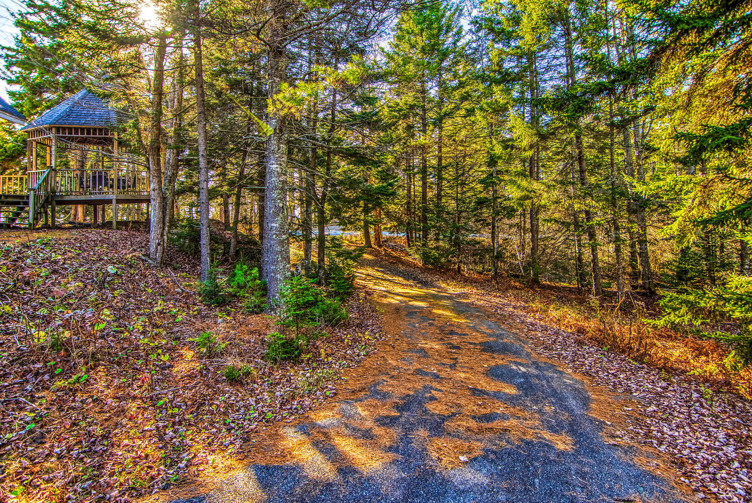 365 Weir Cove Road Harborside, ME 04642 - Photo 25 of 32 365 Weir Cove Road Harborside-large-027-