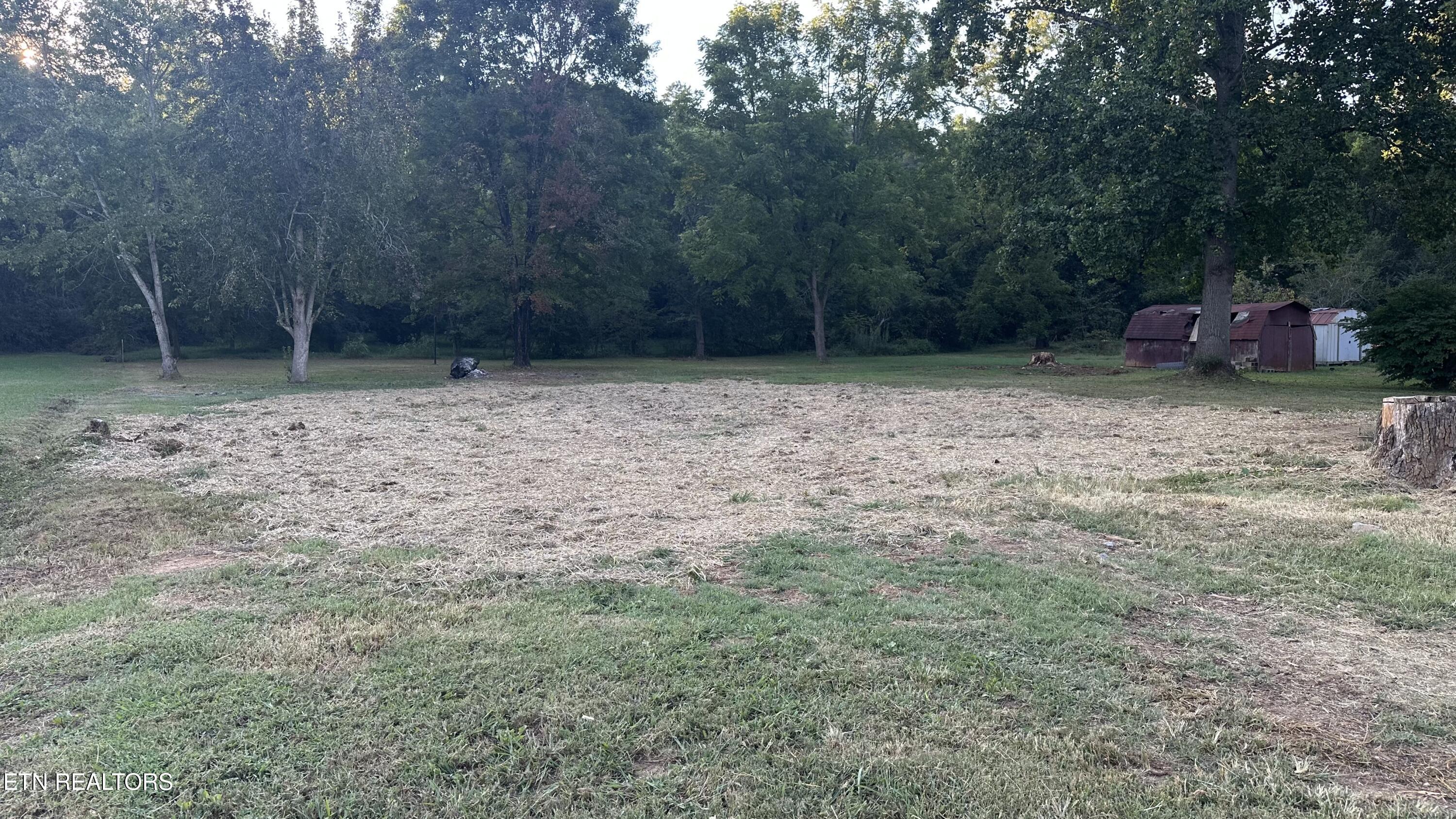 5807 Maloneyville Road Corryton, TN 37721 - Photo 20 of 20 IMG_2220