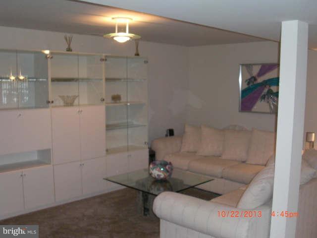 208 Cherry Valley Road Reisterstown, MD 21136 - Photo 19 of 26 Basement