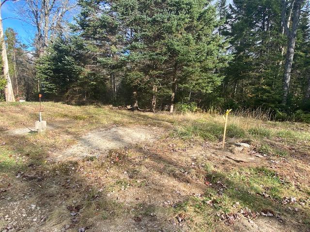 113 Pond Road Gouldsboro, ME 04607 - Photo 4 of 17 IMG_2355