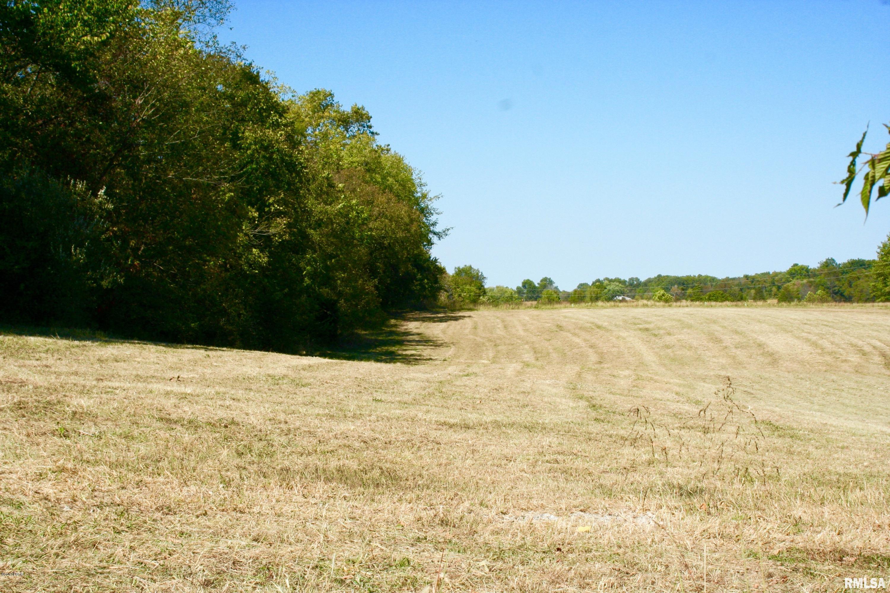11610 Paulton Road Pittsburg, IL 62974 - Photo 3 of 11