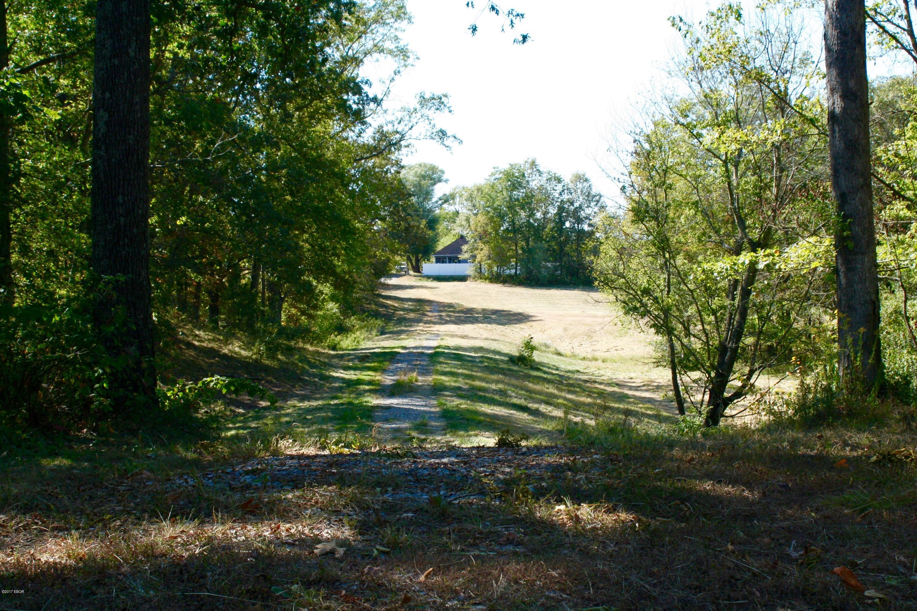 11610 Paulton Road Pittsburg, IL 62974 - Photo 4 of 11