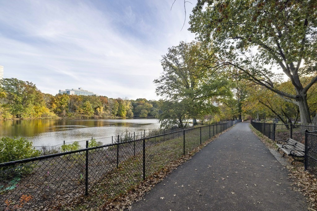 33 Pond Avenue, Unit 912 Brookline, MA 02445 - Photo 16 of 17 a view of lake with plants and large trees
