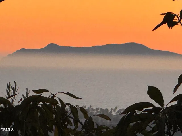a view of a covered with fog