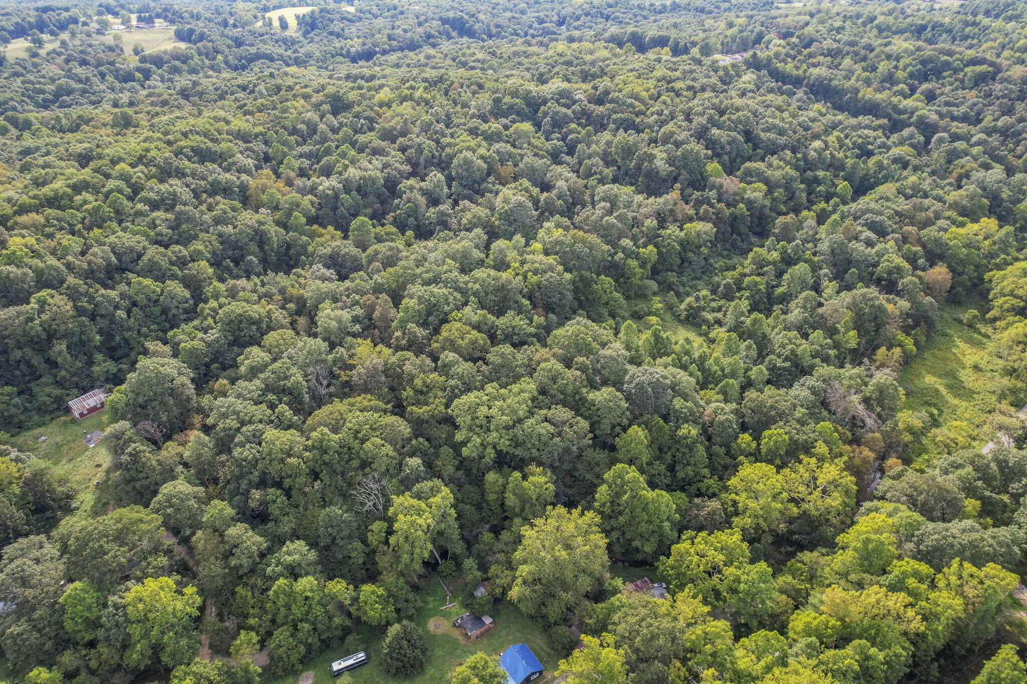 6545 Long Run Road Athens, OH 45701 - Photo 61 of 68 66-web-or-mls-DJI_0772