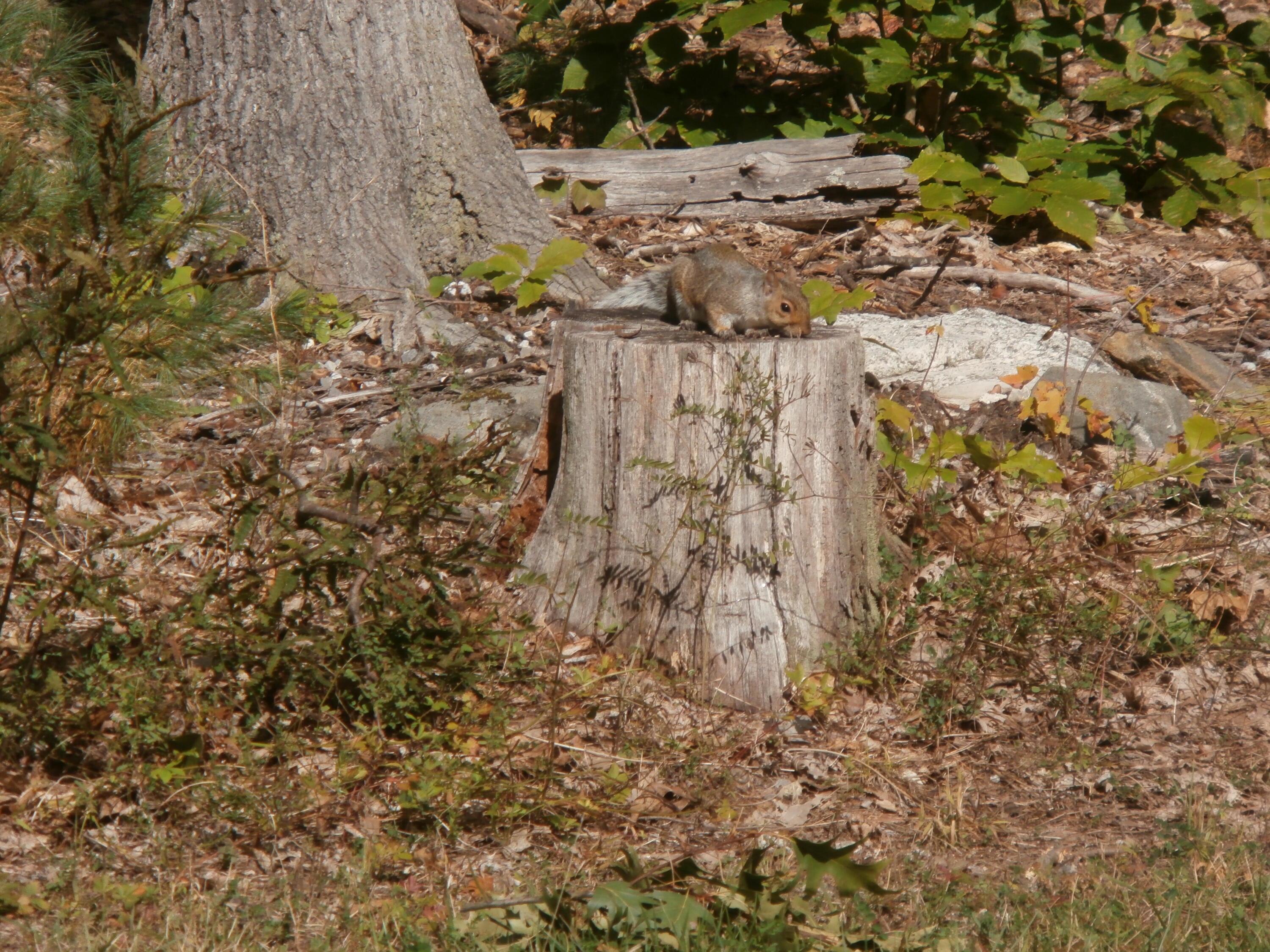 7 Environmental Way Windham, ME 04062 - Photo 89 of 89 PA050019