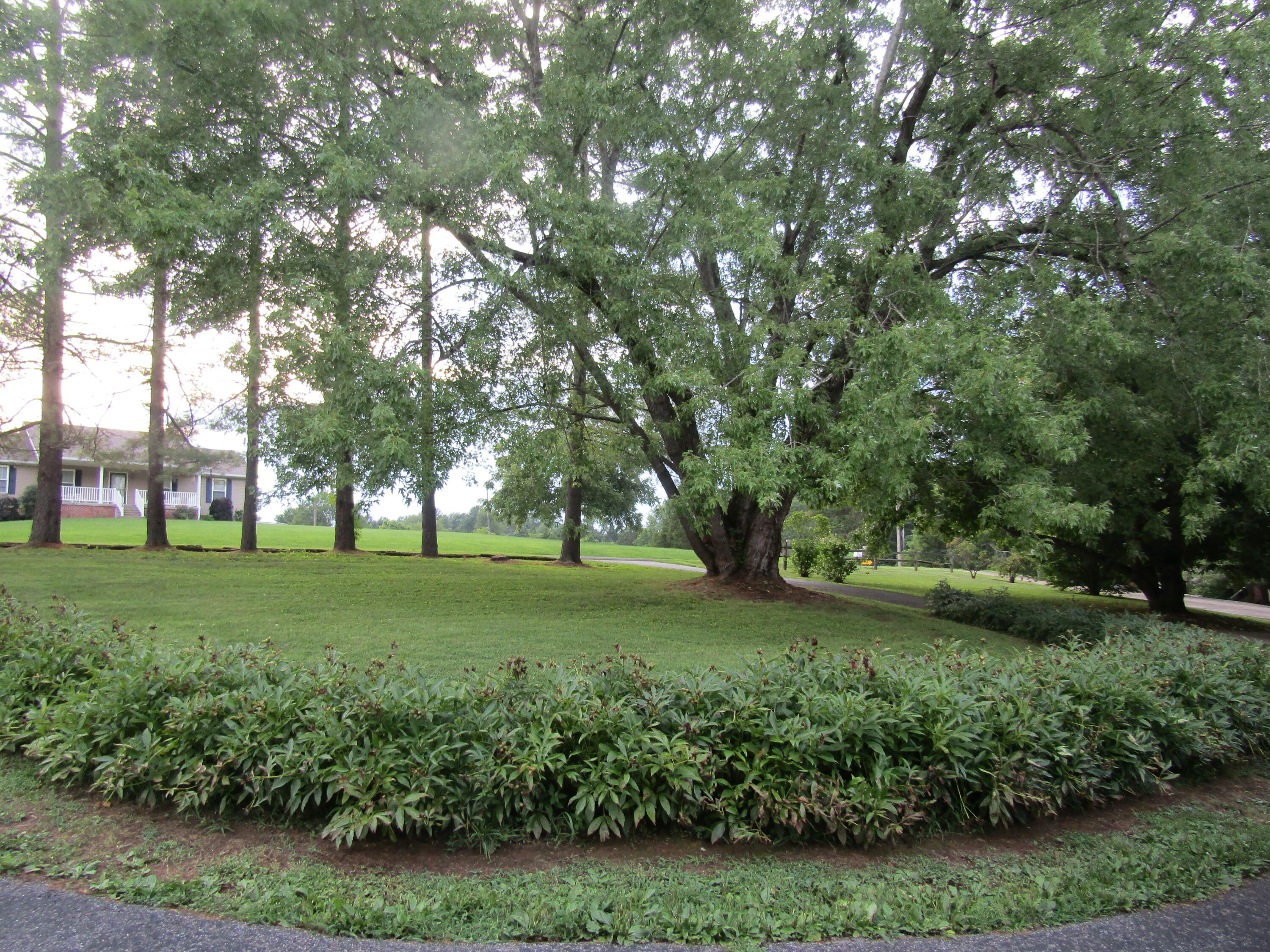 1122 Taylor Road Danville, KY 40422 - Photo 40 of 46 IMG_0501
