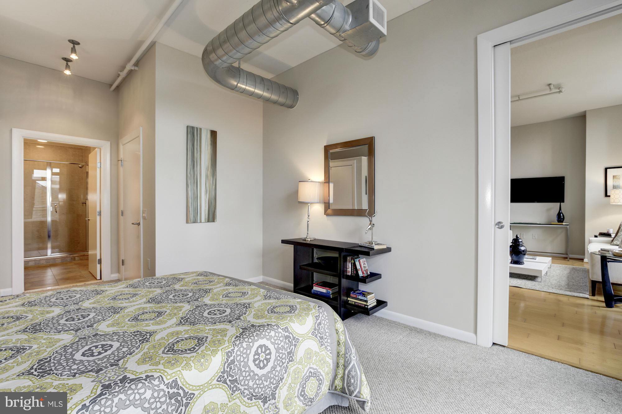 811 4th Street Northwest, Unit 503 Washington, DC 20001 - Photo 17 of 30 Bedroom (Master)