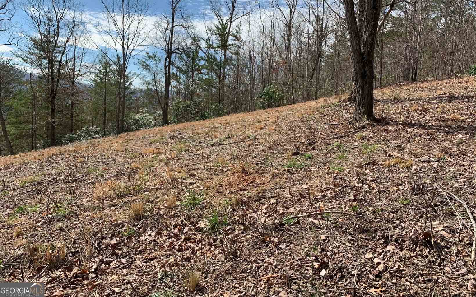 Lot 42 Dan Knob Hayesville, NC 28904 - Photo 12 of 19 a backyard of a house with large trees