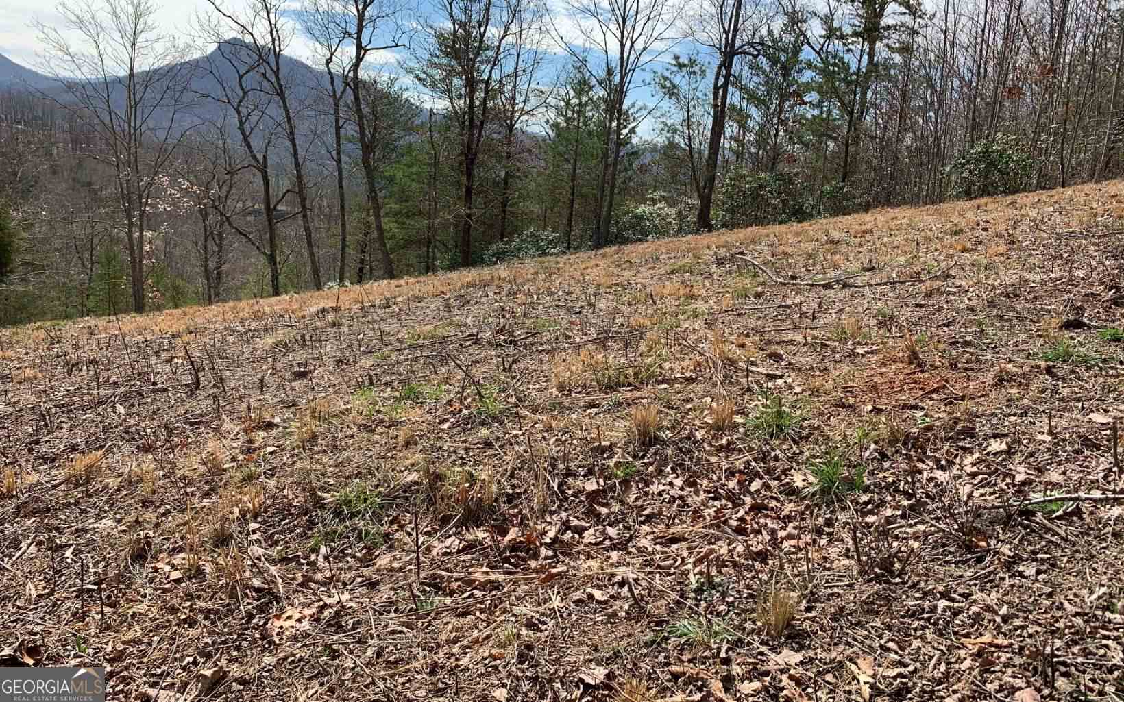 Lot 42 Dan Knob Hayesville, NC 28904 - Photo 13 of 19 a view of a backyard of snow and trees