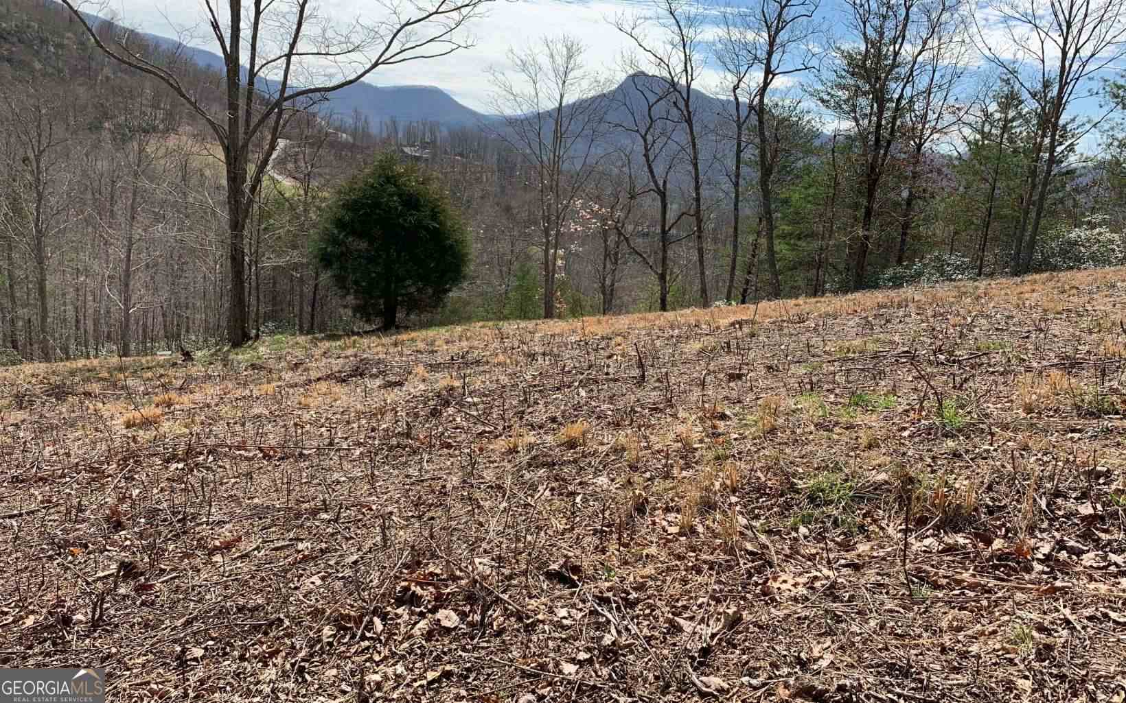 Lot 42 Dan Knob Hayesville, NC 28904 - Photo 14 of 19 a view of a yard with large trees