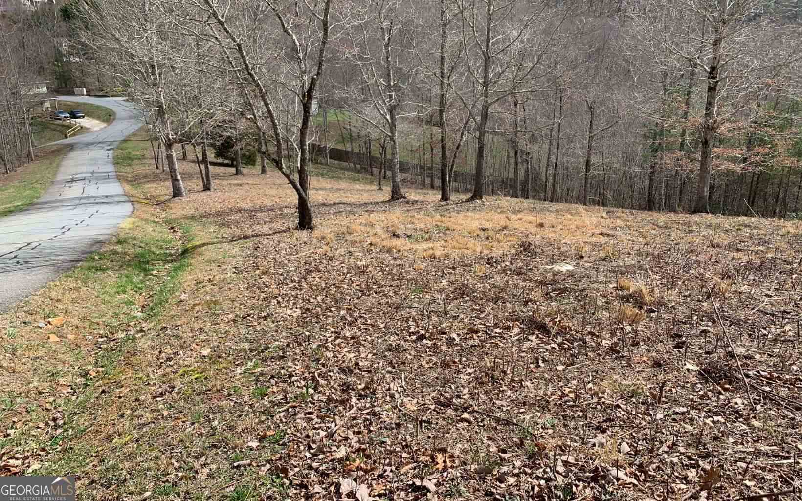 Lot 42 Dan Knob Hayesville, NC 28904 - Photo 15 of 19 a view of covered with snow