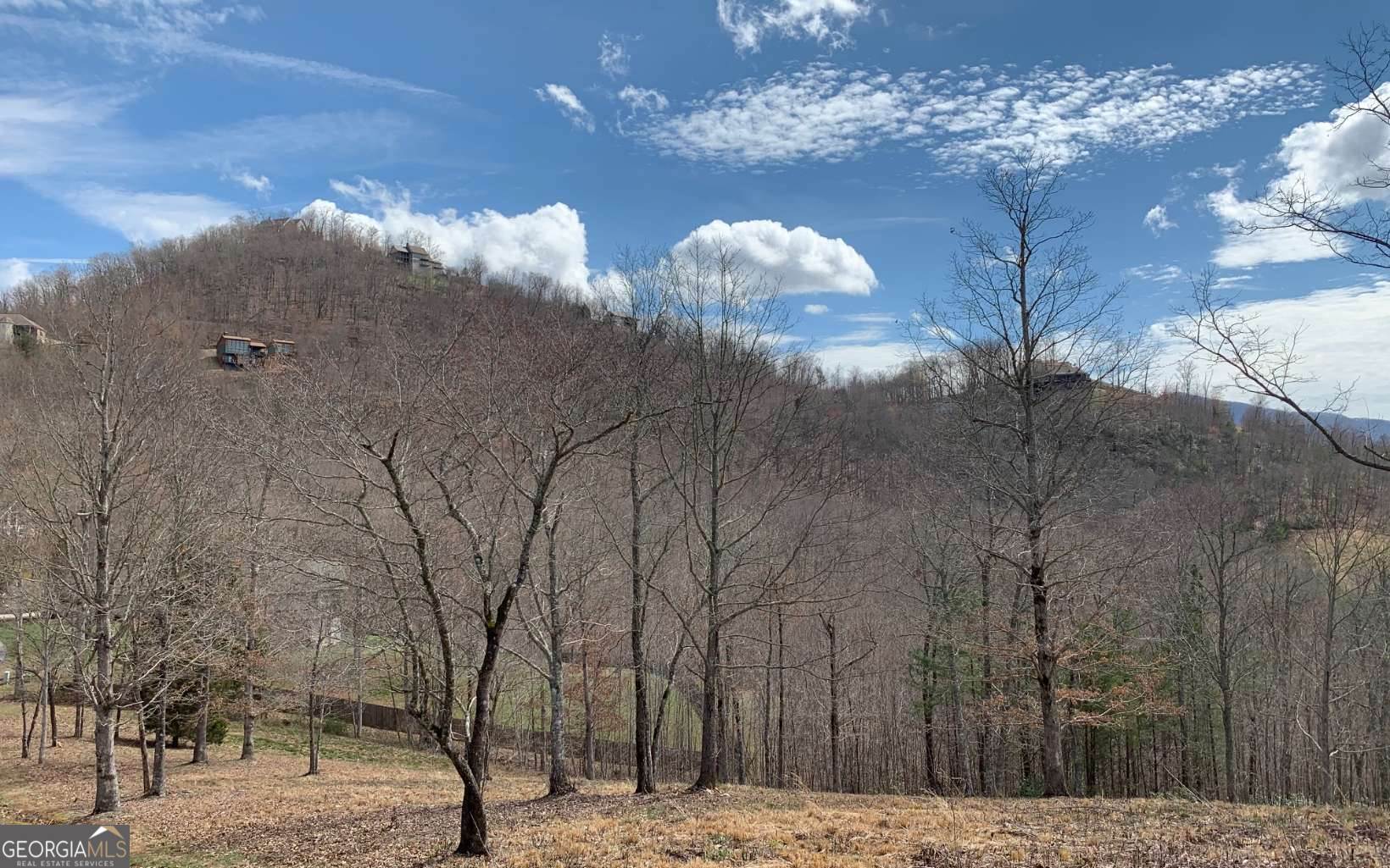 Lot 42 Dan Knob Hayesville, NC 28904 - Photo 16 of 19 a view of a house with a snow