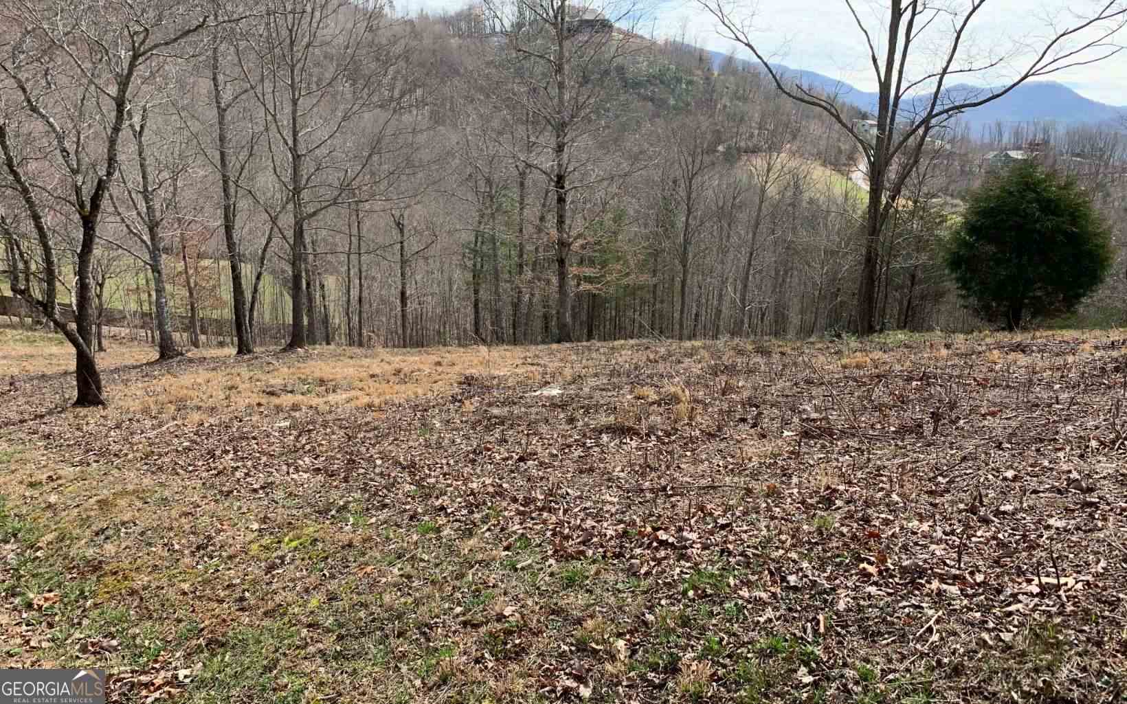 Lot 42 Dan Knob Hayesville, NC 28904 - Photo 17 of 19 a big yard with trees in front of it