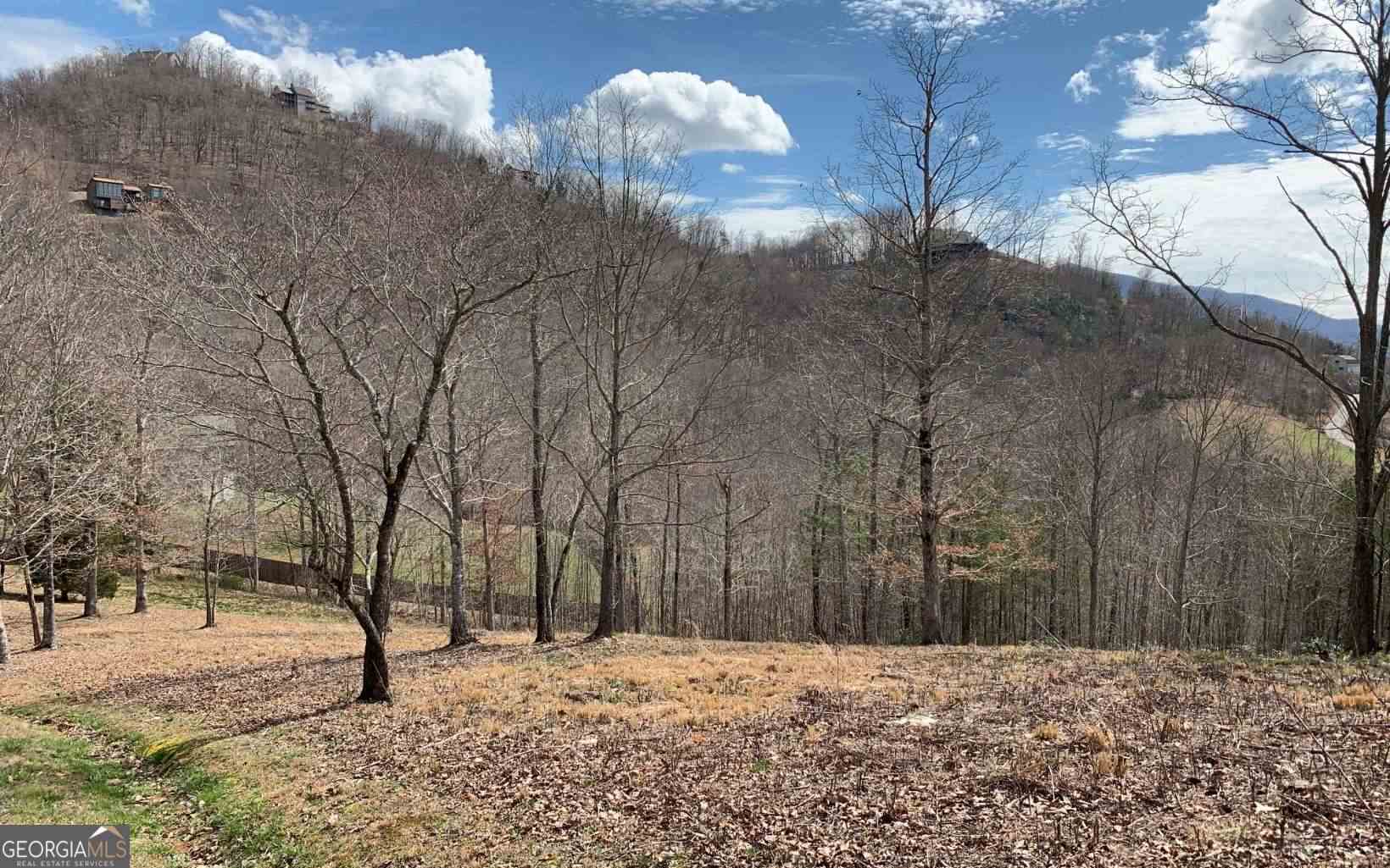 Lot 42 Dan Knob Hayesville, NC 28904 - Photo 18 of 19 a view of snow on the side of a road