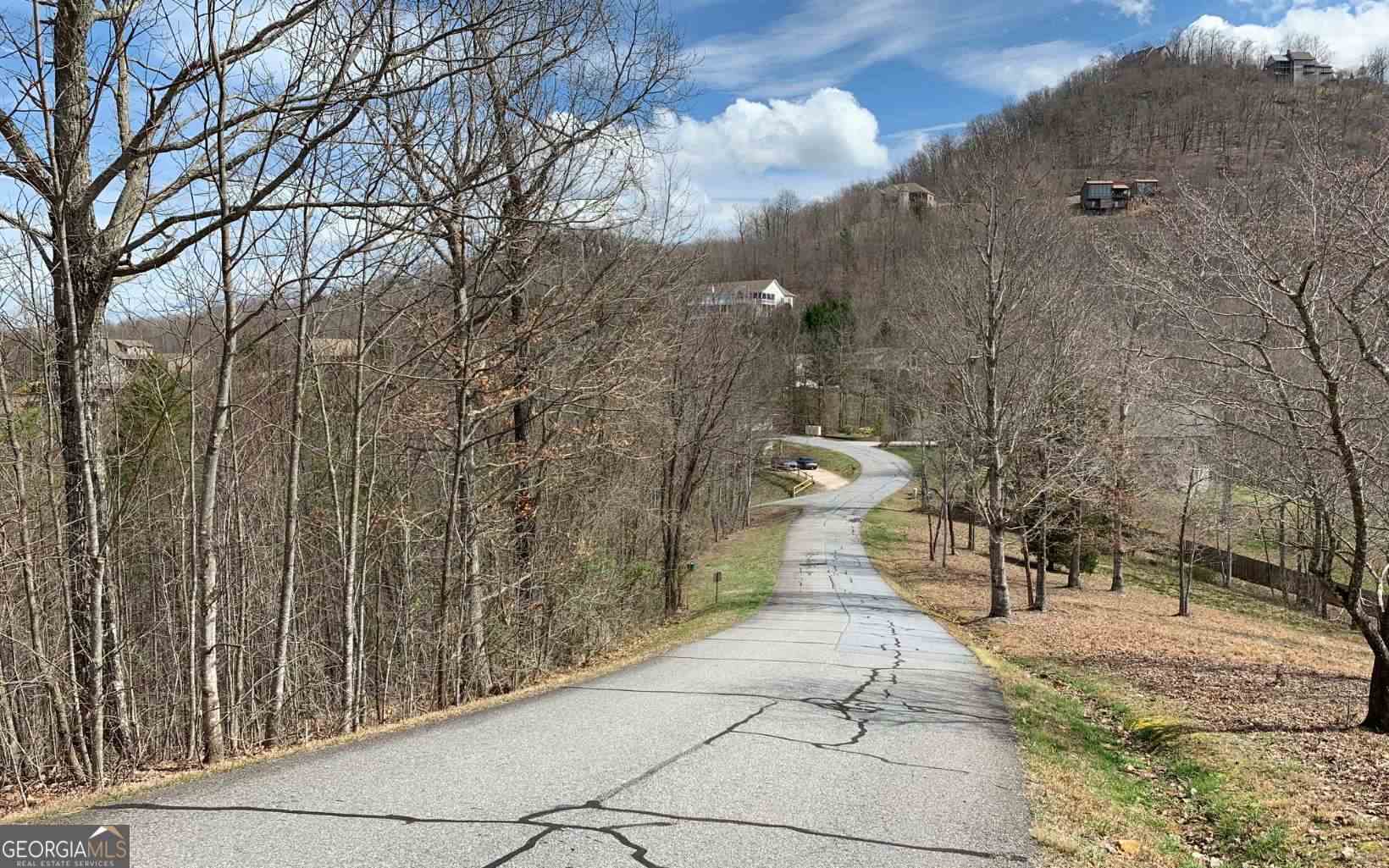 Lot 42 Dan Knob Hayesville, NC 28904 - Photo 19 of 19 a view of a yard with trees