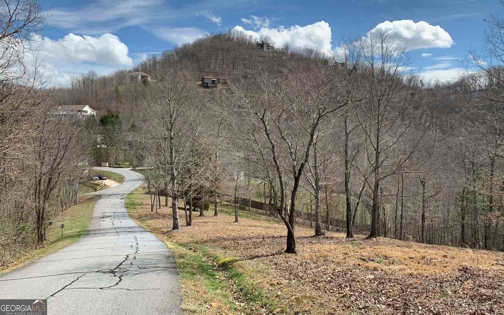 Lot 42 Dan Knob Hayesville, NC 28904 - Photo 2 of 19