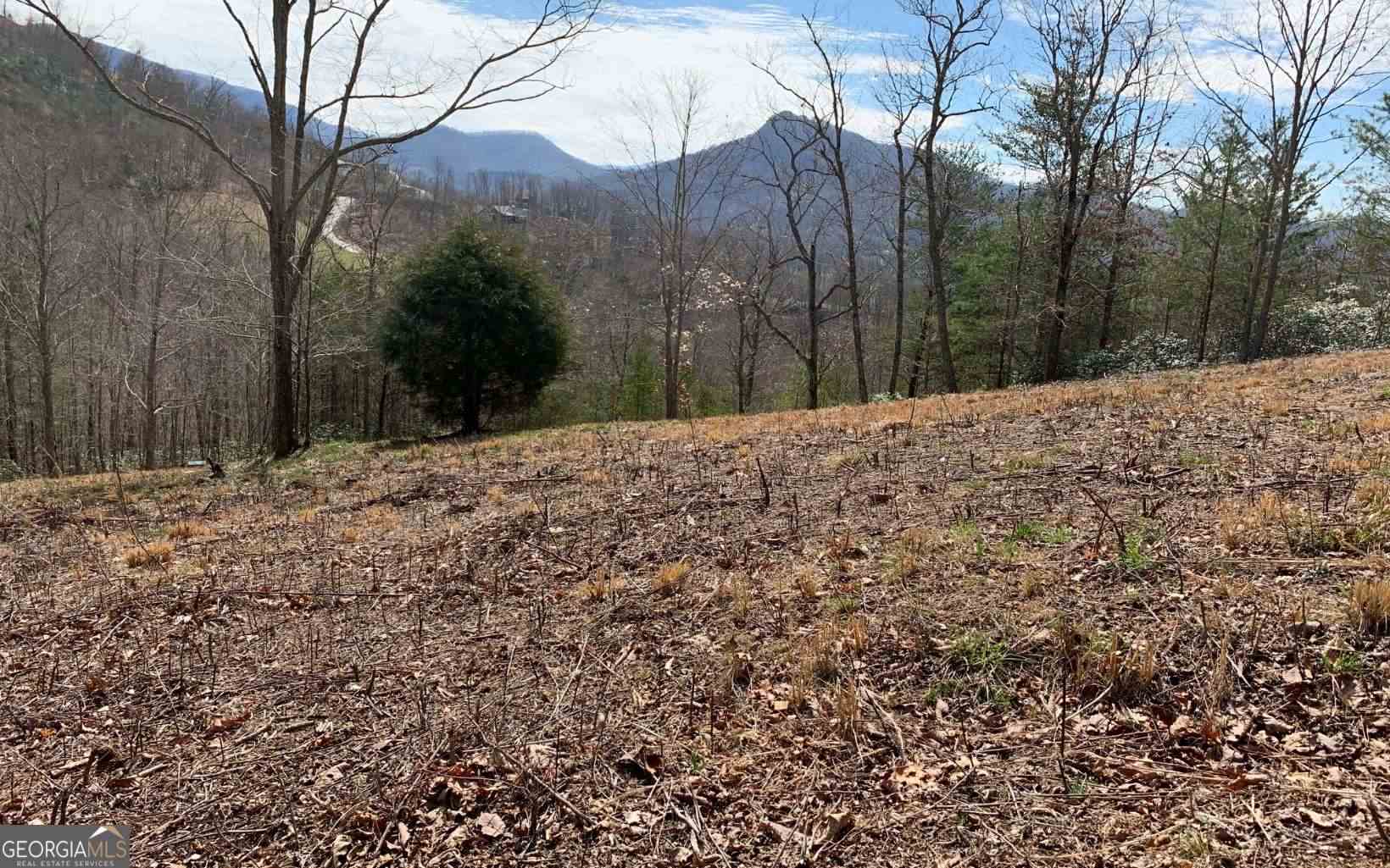 Lot 42 Dan Knob Hayesville, NC 28904 - Photo 4 of 19 a view of a yard with trees