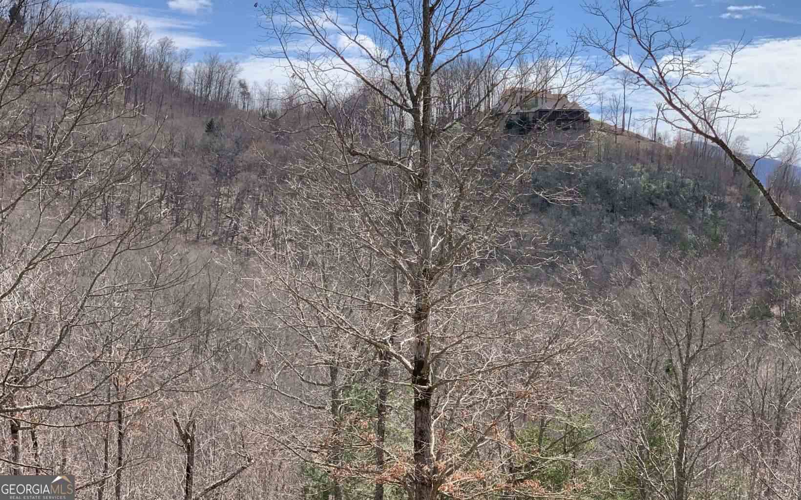 Lot 42 Dan Knob Hayesville, NC 28904 - Photo 6 of 19 a view of a dry yard with trees in the background