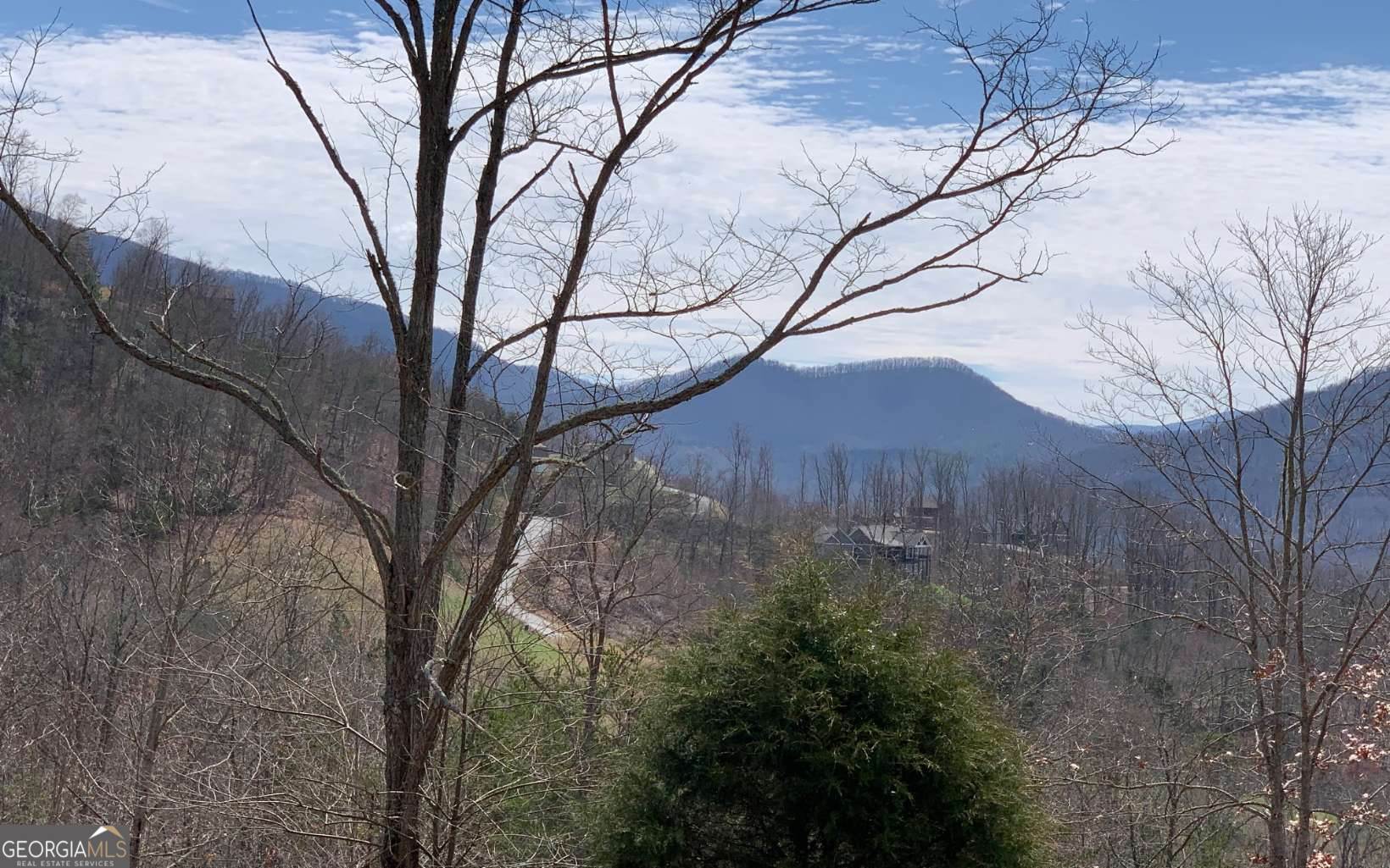Lot 42 Dan Knob Hayesville, NC 28904 - Photo 7 of 19 a view of a forest filled with trees