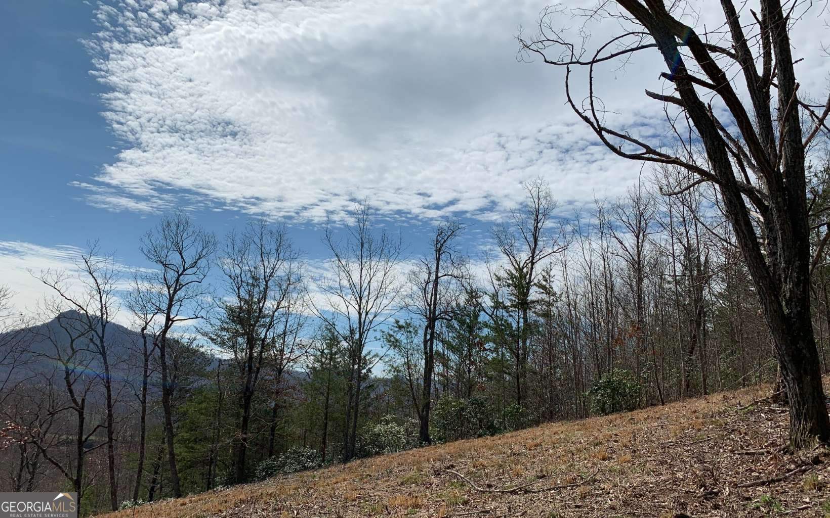 Lot 42 Dan Knob Hayesville, NC 28904 - Photo 8 of 19 a view of a backyard of the house