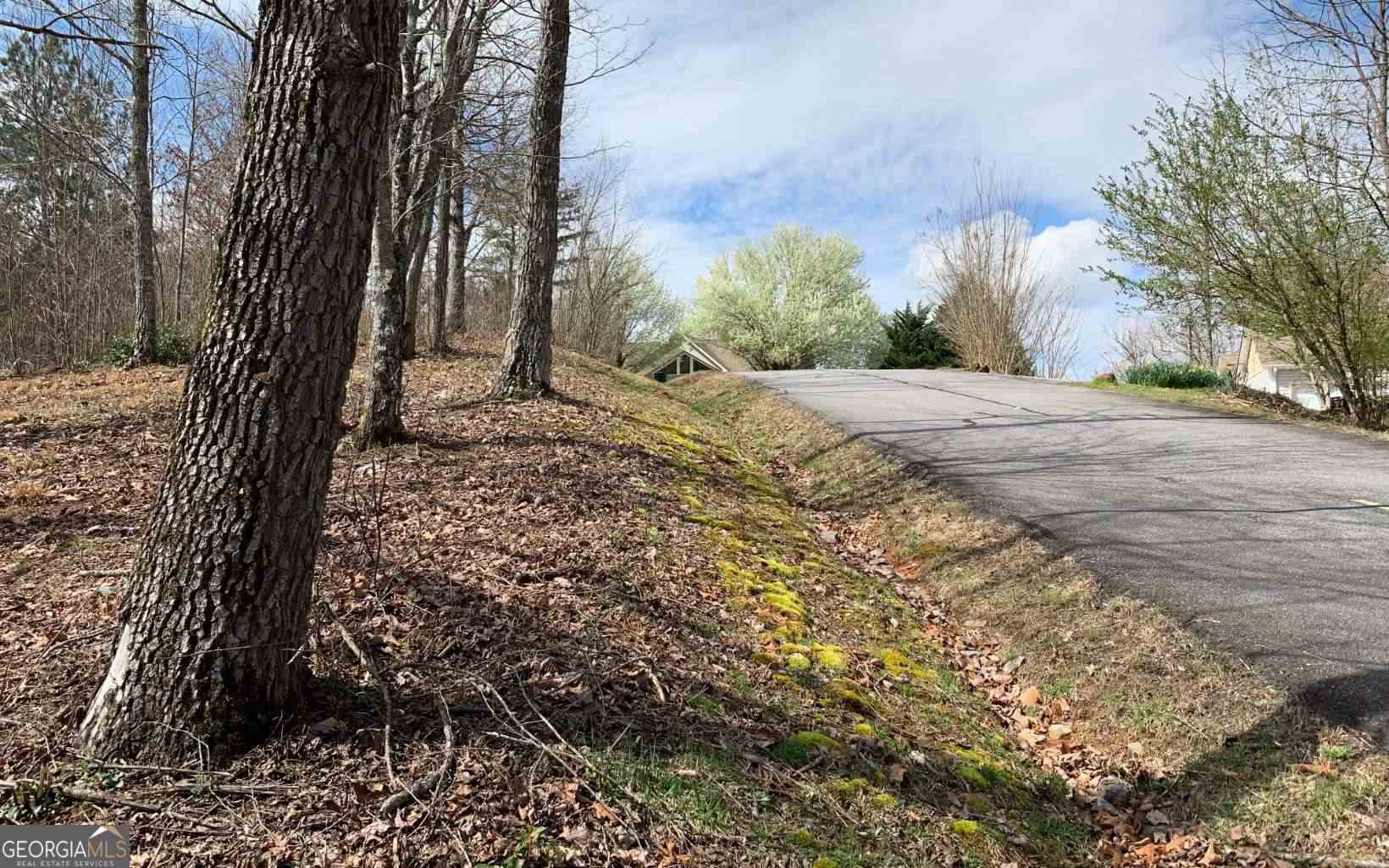 Lot 42 Dan Knob Hayesville, NC 28904 - Photo 10 of 19 a view of a yard with plants and trees