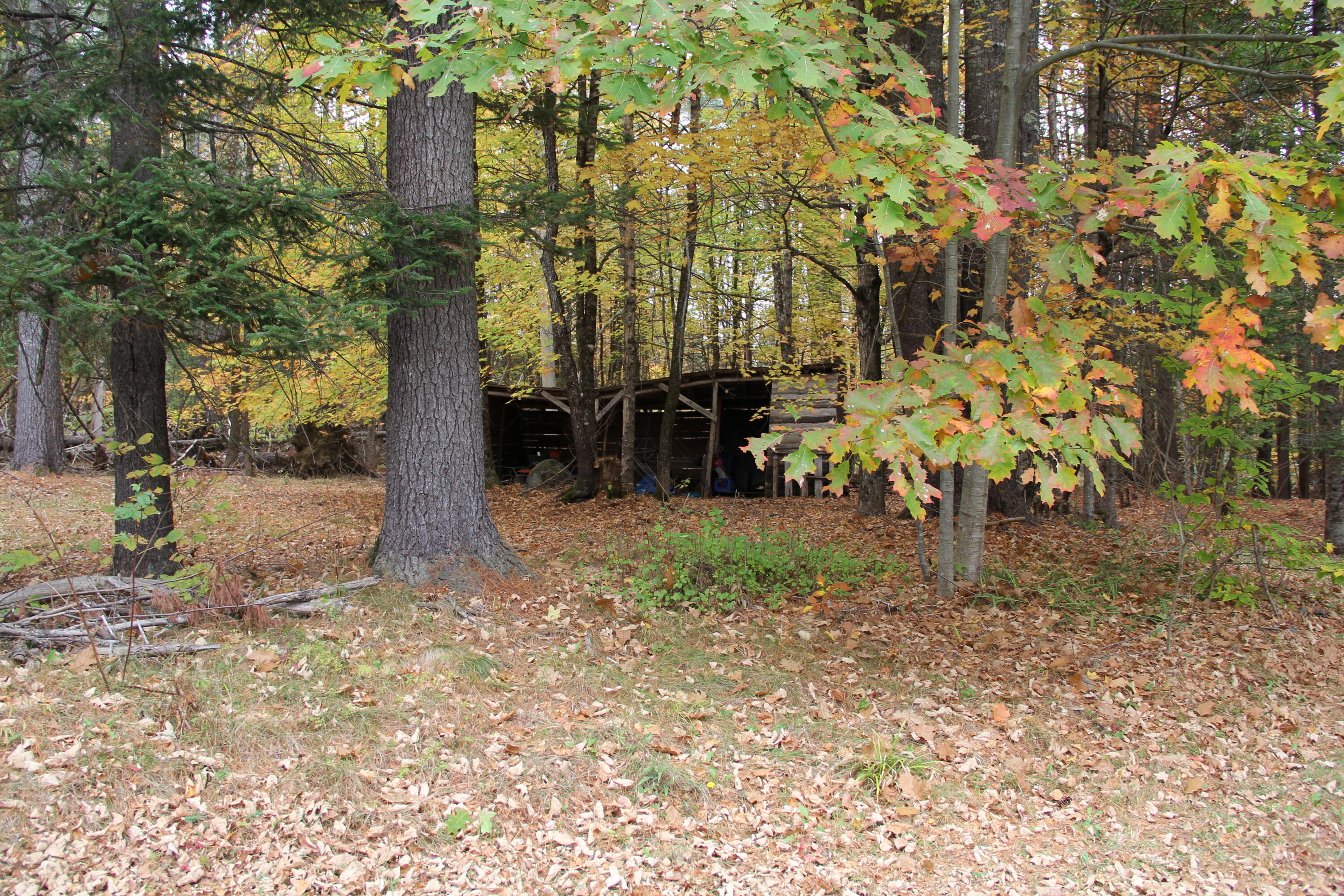 314 South Main Street Athens, ME 04912 - Photo 3 of 18 IMG_0039