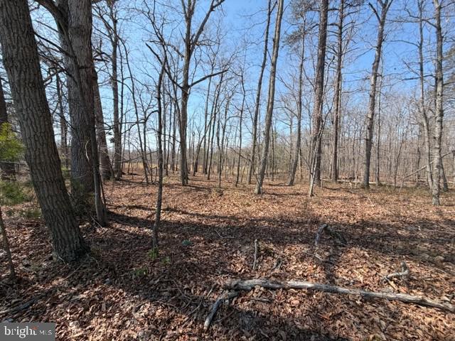 Countryside Lane Lignum, VA 22726 - Photo 2 of 2