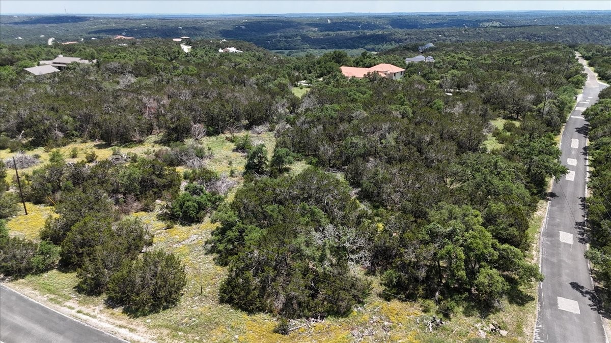 1001 Bluff View Road Wimberley, TX 78676 - Photo 12 of 15 a view of a forest with a street