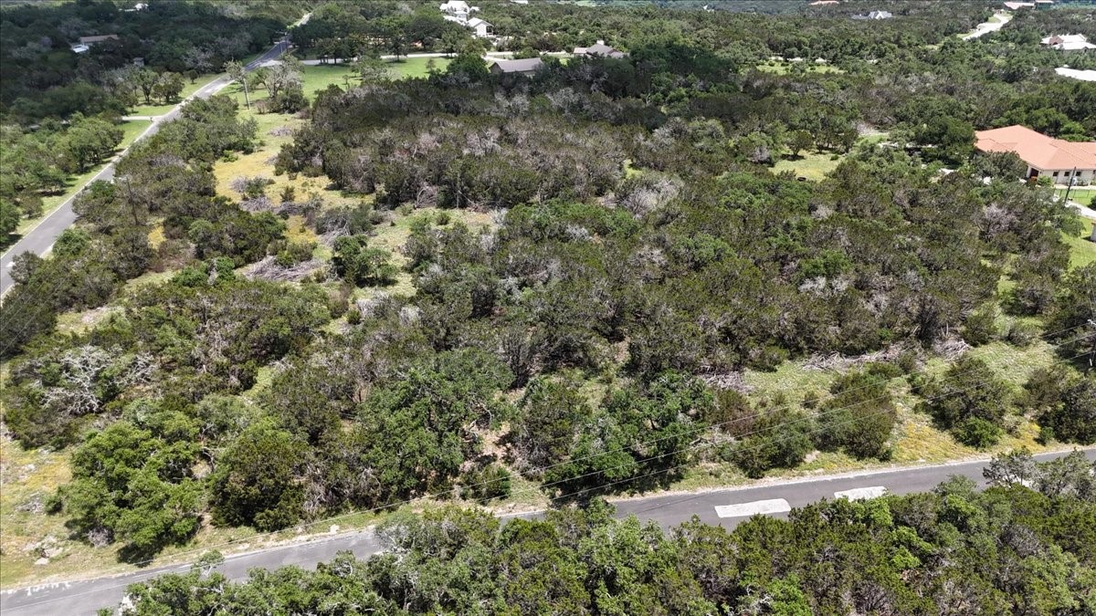 1001 Bluff View Road Wimberley, TX 78676 - Photo 14 of 15 a view of a forest with a tree