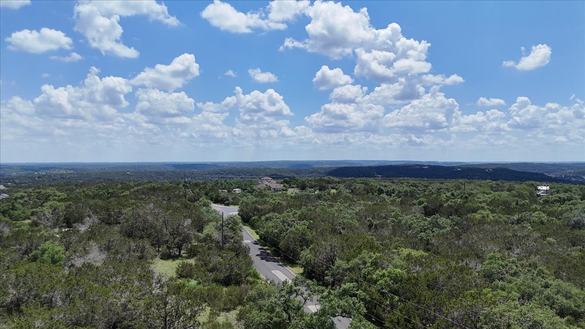 1001 Bluff View Road Wimberley, TX 78676 - Photo 15 of 15 a view of a bunch of trees in middle of green field
