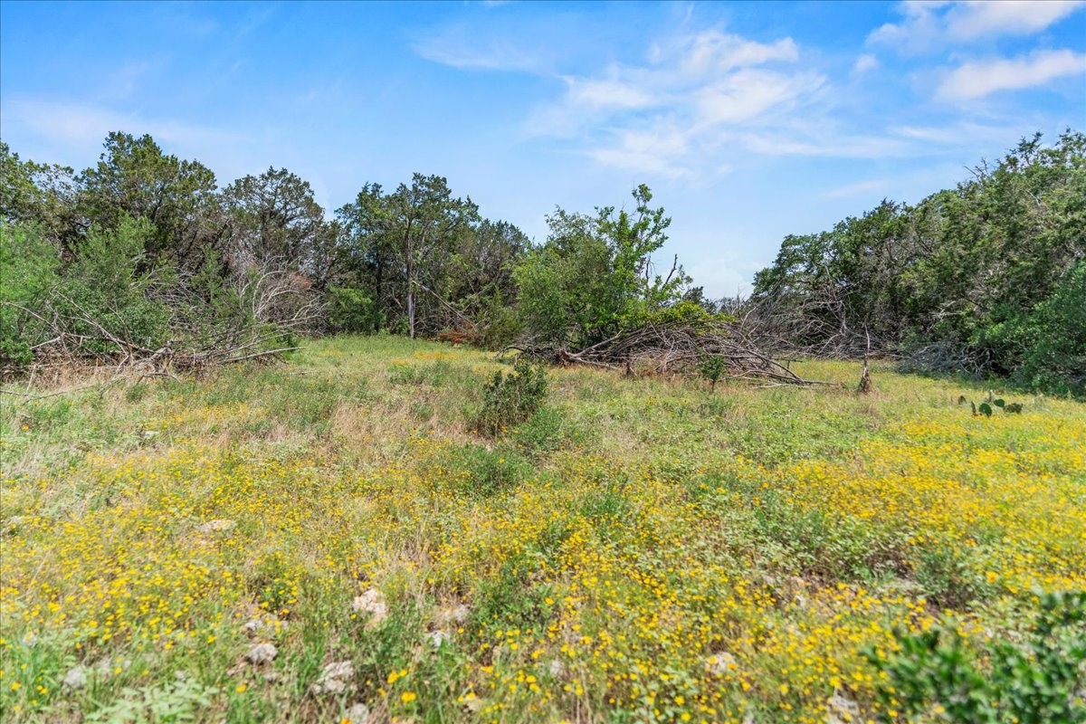 1001 Bluff View Road Wimberley, TX 78676 - Photo 4 of 15 a view of a field with plants and trees in the background