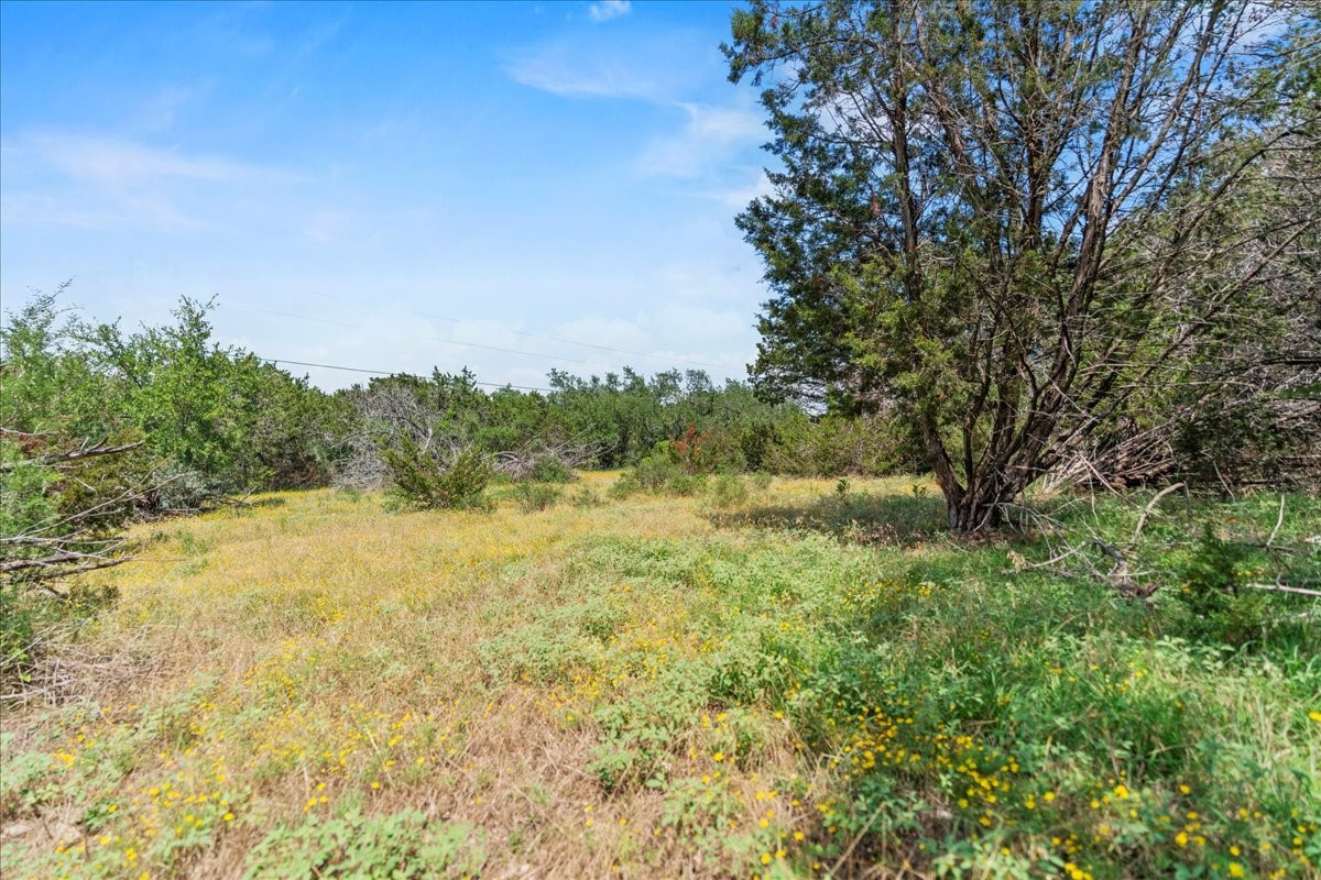 1001 Bluff View Road Wimberley, TX 78676 - Photo 5 of 15 a view of a yard with an outdoor space