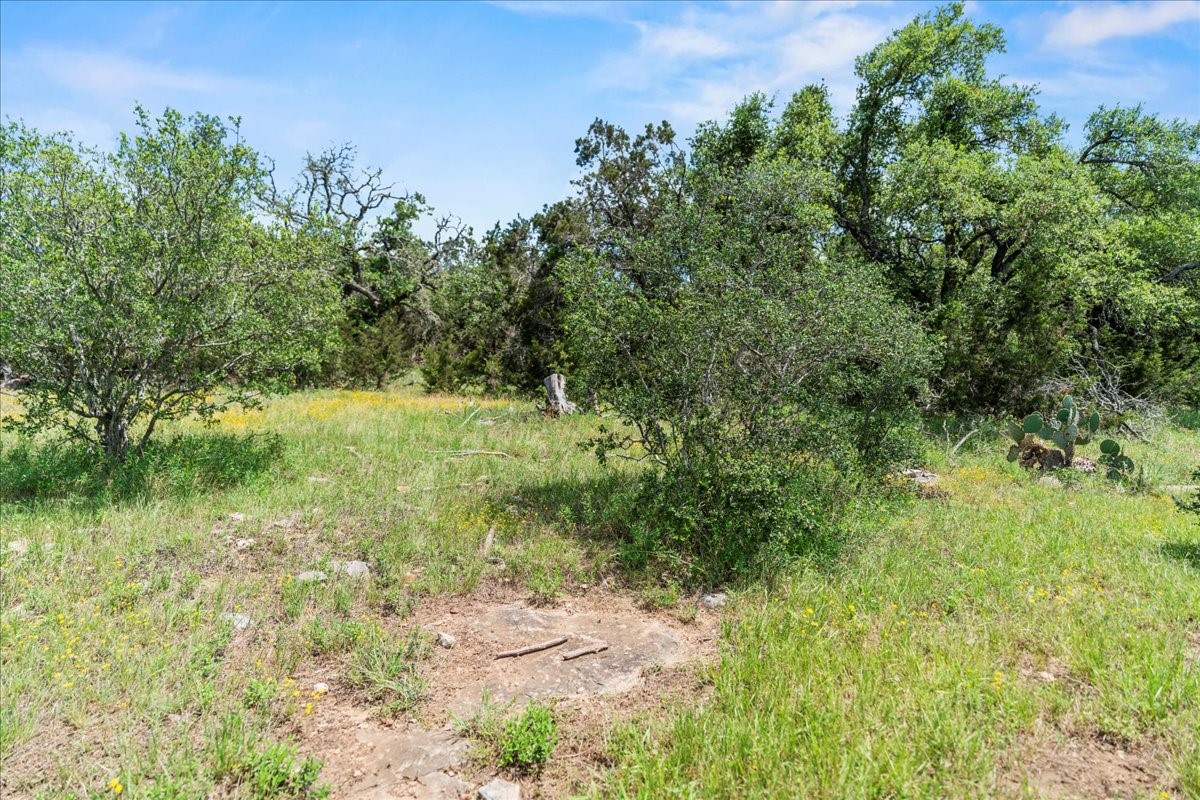 1001 Bluff View Road Wimberley, TX 78676 - Photo 6 of 15 a view of yard with green space and trees around